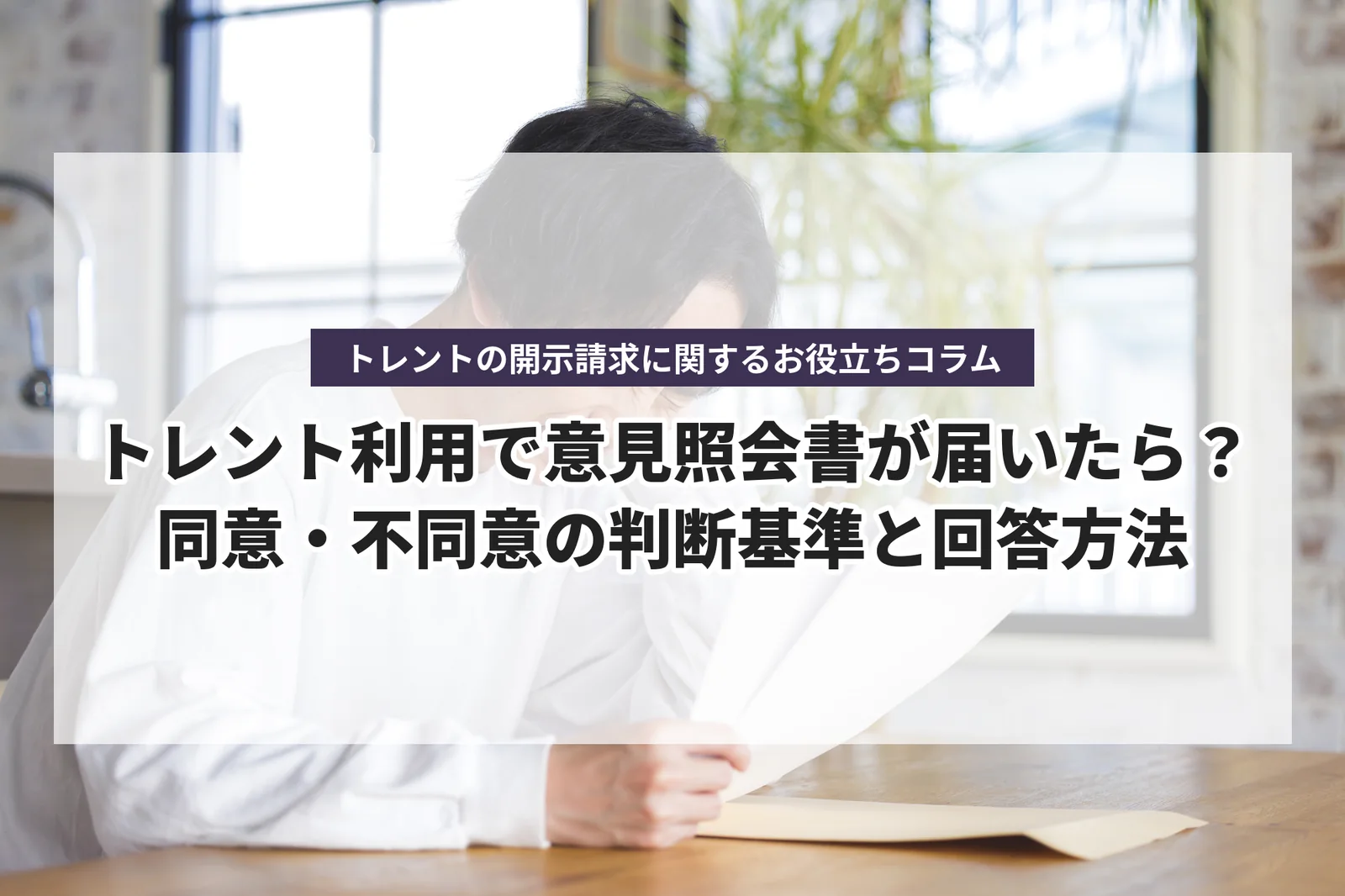 トレントの開示請求に関するお役立ちコラム「トレント利用で意見照会書が届いたら？同意・不同意の判断基準と回答方法」